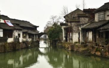精灵嘉年华